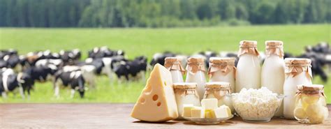Melk, Melkproducten .